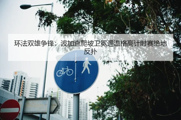 环法双雄争锋:波加查爬坡卫冕遇温格高计时赛绝地反扑