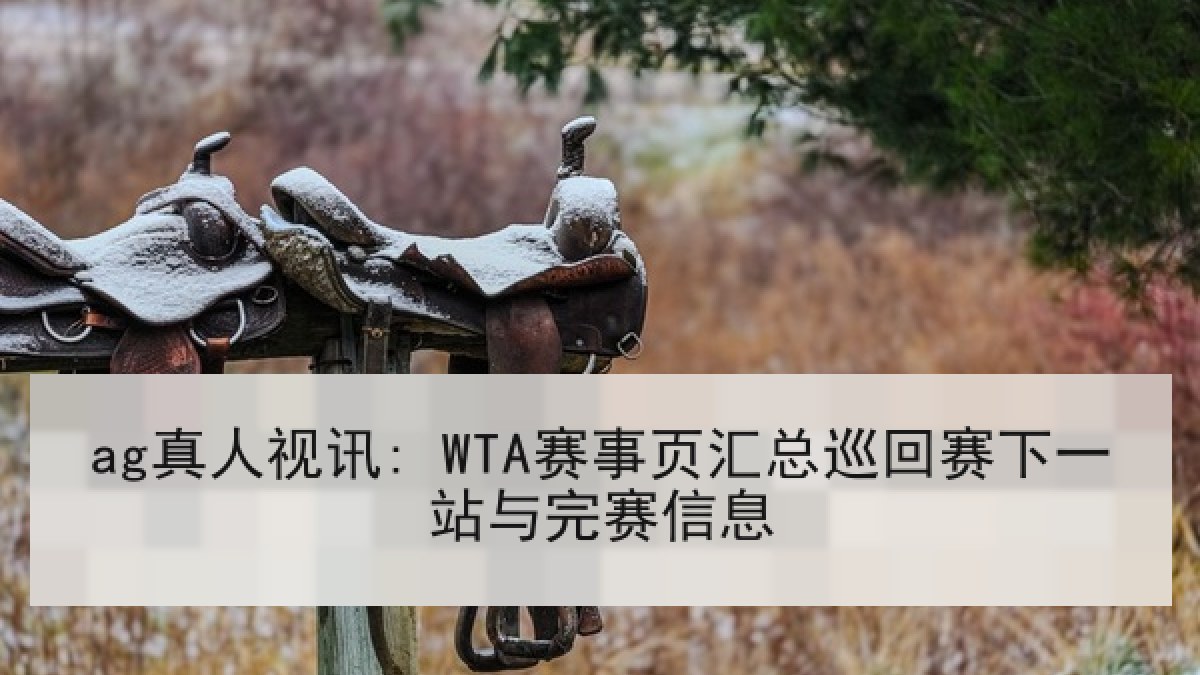 ag真人视讯: WTA赛事页汇总巡回赛下一站与完赛信息