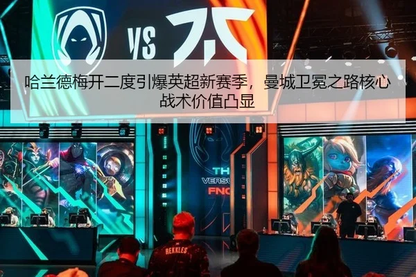 ha-lan-de-mei-kai-er-du-yin-bao-ying-chao-xin-sai-ji-man-cheng-wei-mian-zhi-lu-he-xin-zhan-shu-jia-zhi-tu-xian-2-782.jpg
