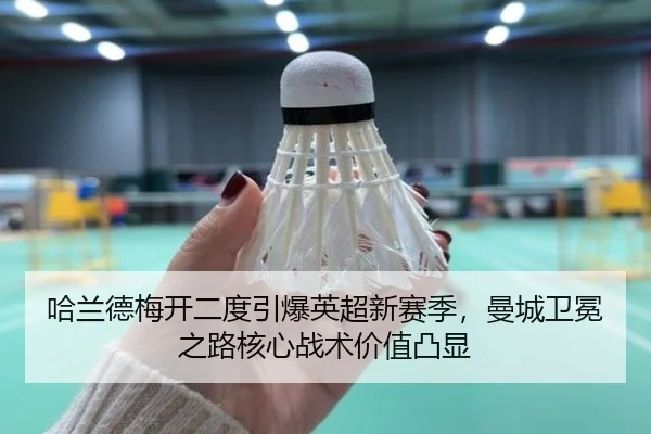 ha-lan-de-mei-kai-er-du-yin-bao-ying-chao-xin-sai-ji-man-cheng-wei-mian-zhi-lu-he-xin-zhan-shu-jia-zhi-tu-xian-3-590.jpg