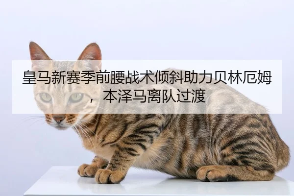皇马新赛季前腰战术倾斜助力贝林厄姆，本泽马离队过渡