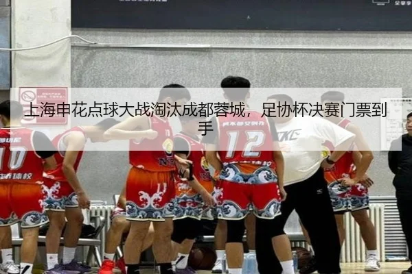 shang-hai-shen-hua-dian-qiu-da-zhan-tao-tai-cheng-du-rong-cheng-zu-xie-bei-jue-sai-men-piao-dao-shou-3-365.jpg
