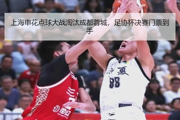 上海申花点球大战淘汰成都蓉城，足协杯决赛门票到手